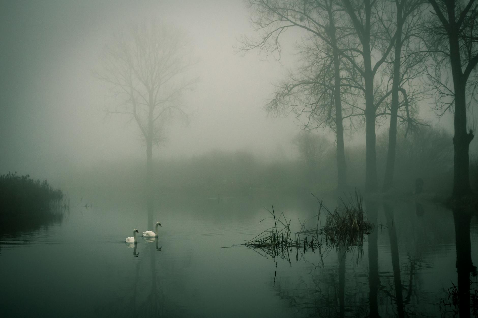 A Silence of Fragments