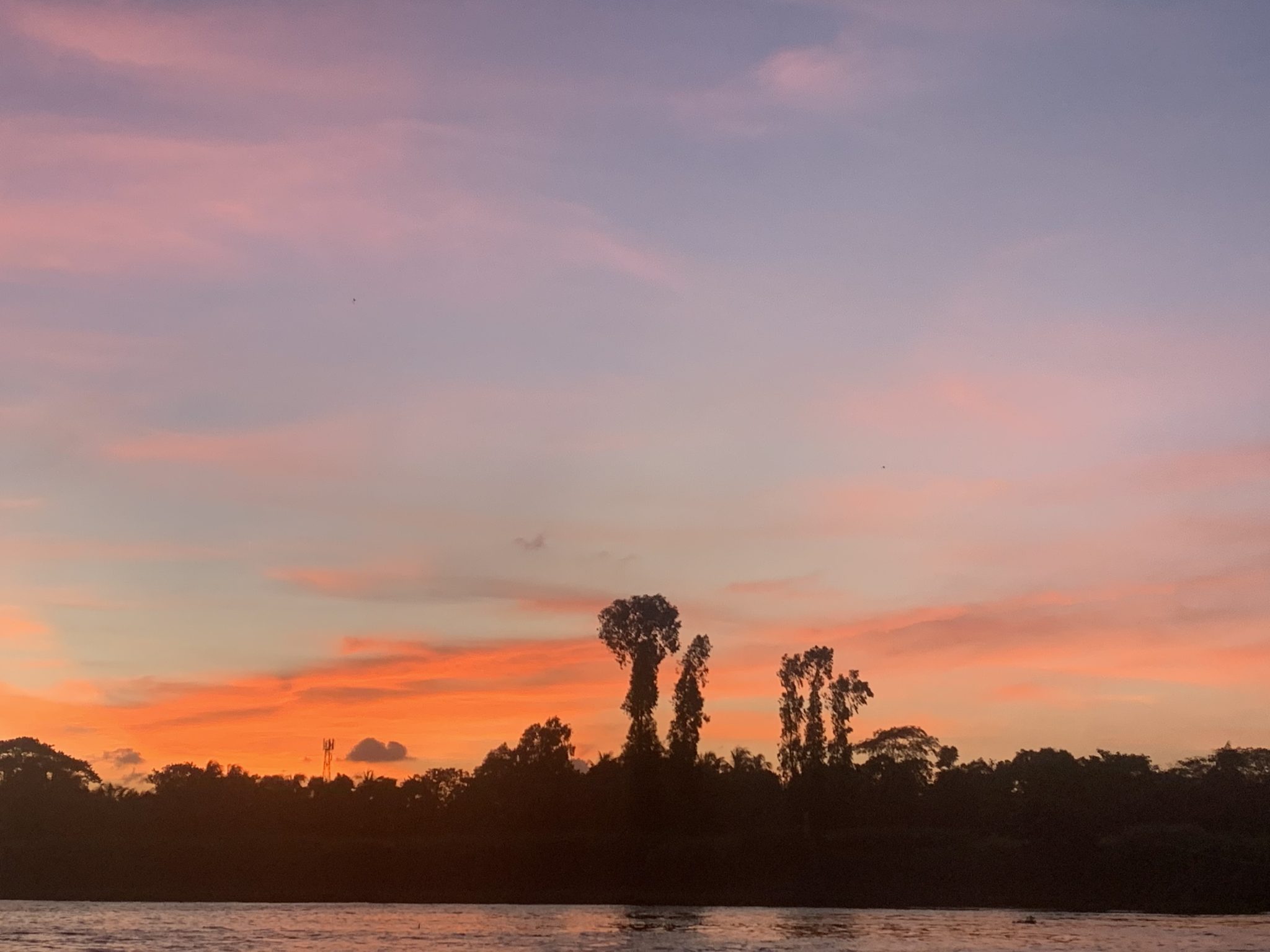 কাম-মোহন