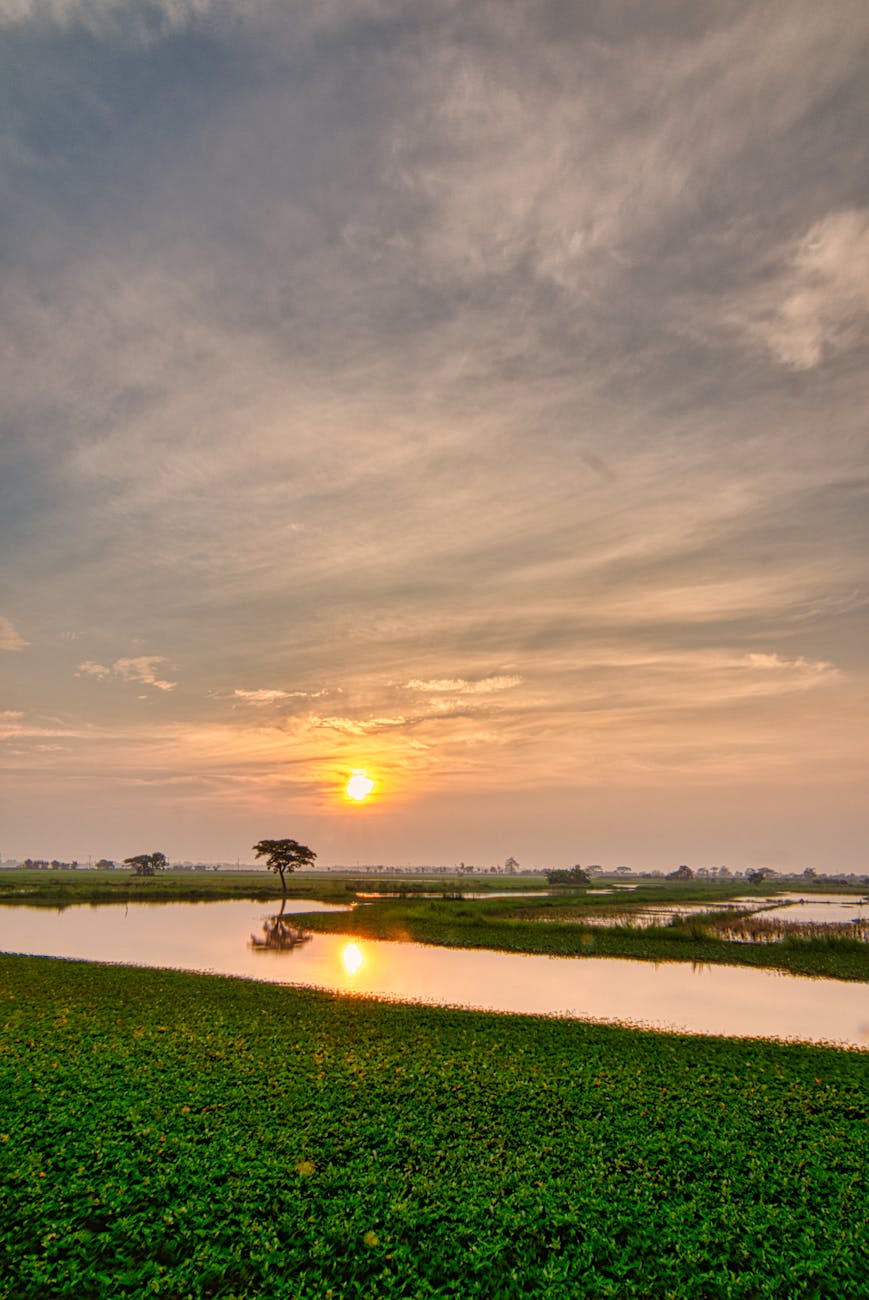 অতঃপর আমার দ্বিধা