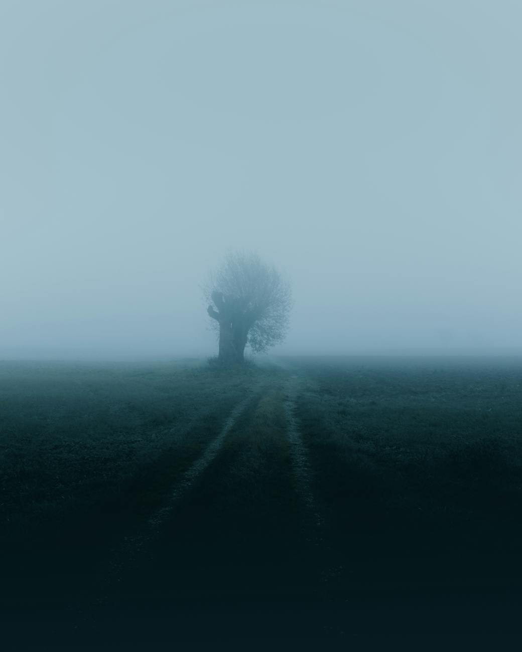 Unseen Presence