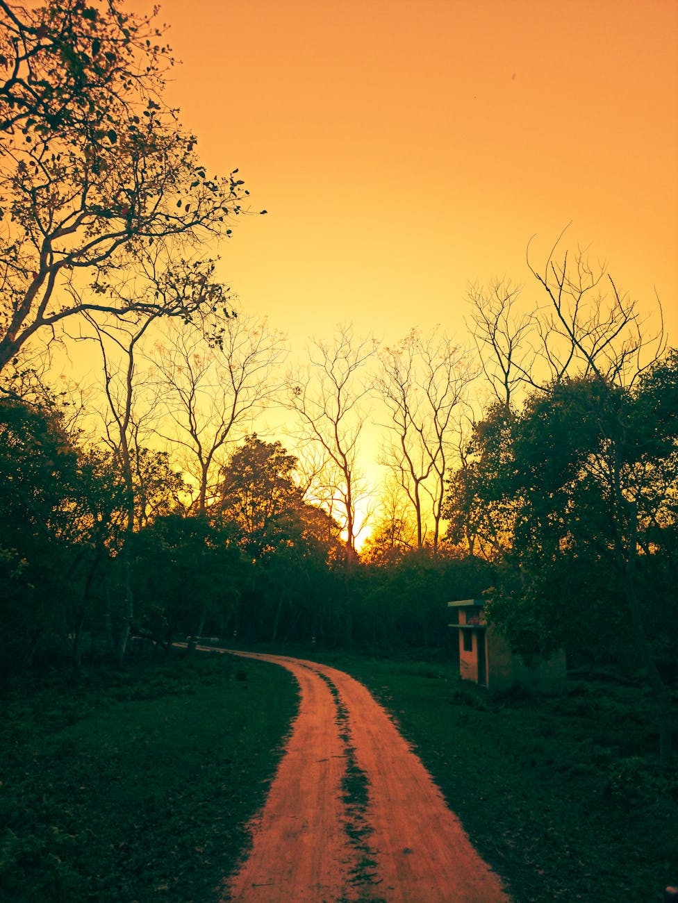 The Forsaken Path